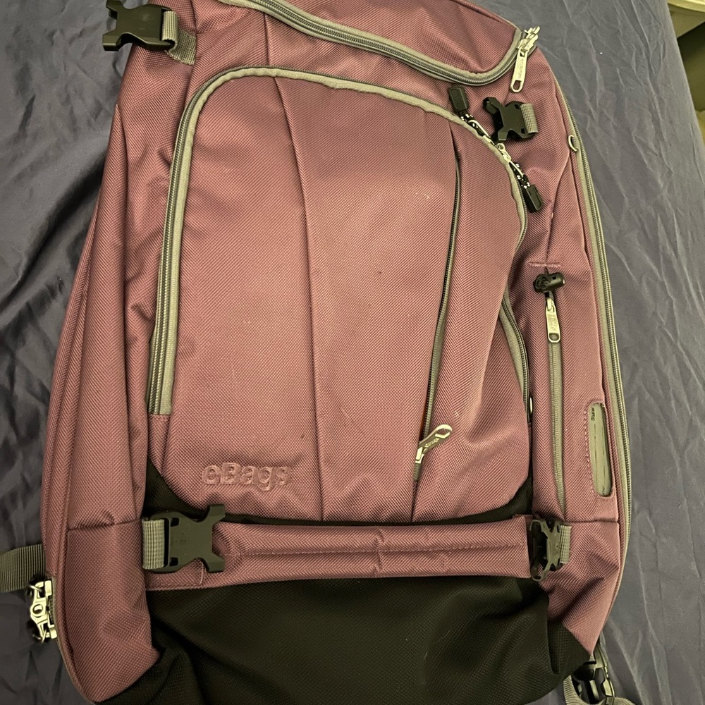 EBags motherload travel backpack